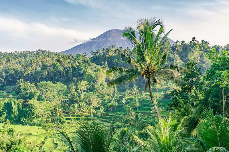 BALI- UBUD